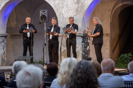 Domovini_koncert domoljubnih pesmi (6)